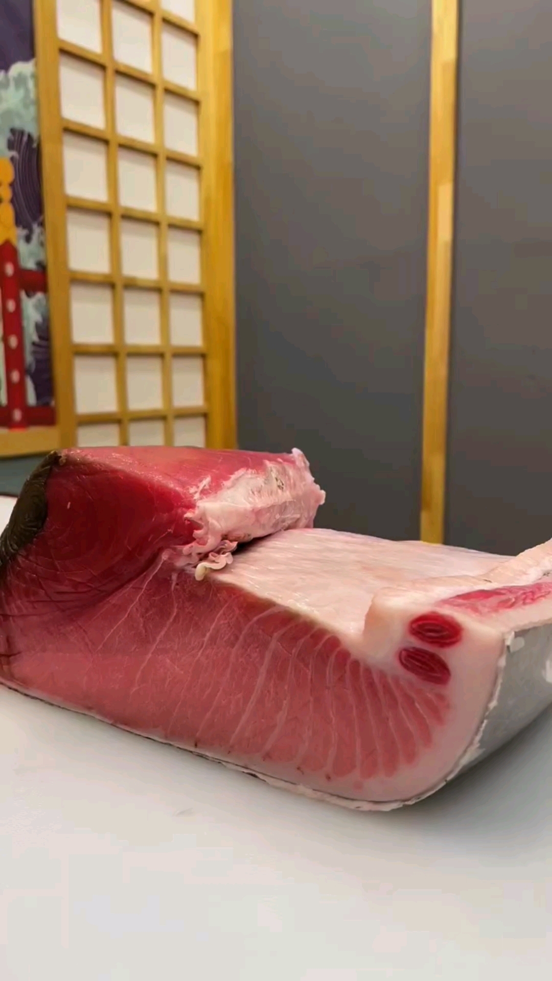 蓝鳍金枪鱼大腹分割!