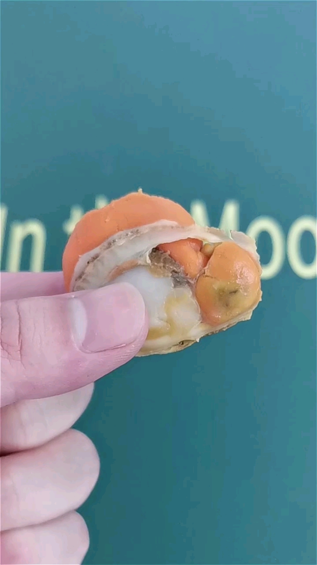 扇贝肉最正确的吃法应该是这样的！