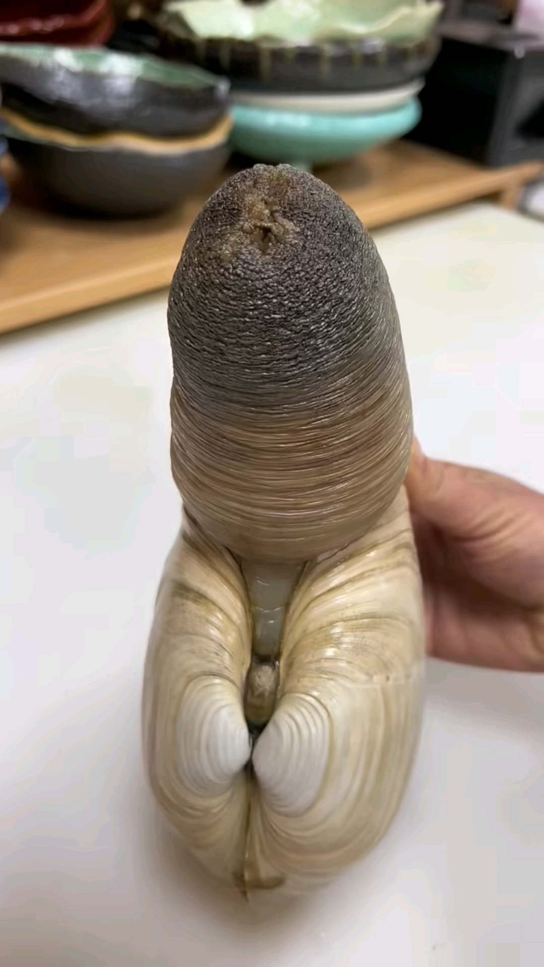 象拔蚌刺身拼盘制作教程!