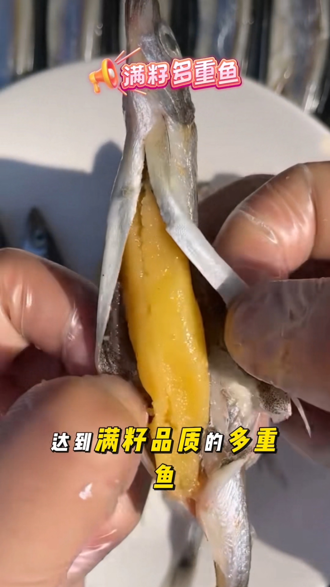 多春鱼的鱼籽,媲美大闸蟹的蟹黄