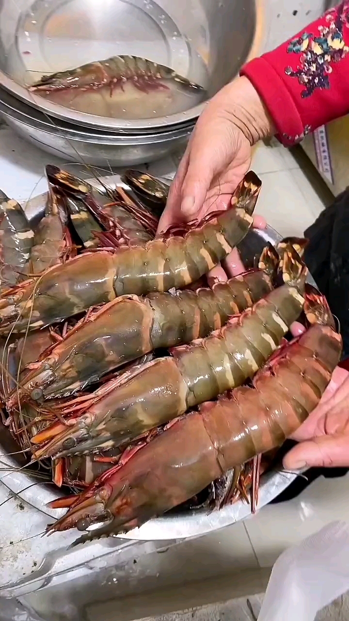 巨型老虎虾,每一个都有半斤以上!