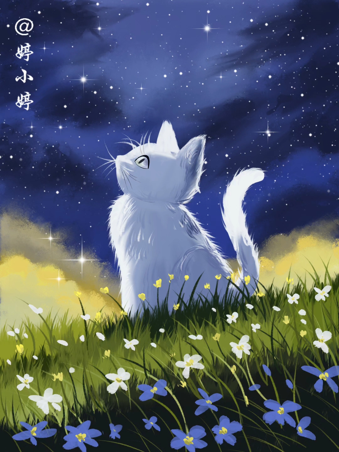 画世界Pro|星空下的猫(附步骤)临摹素材:@今日有画蒋老师