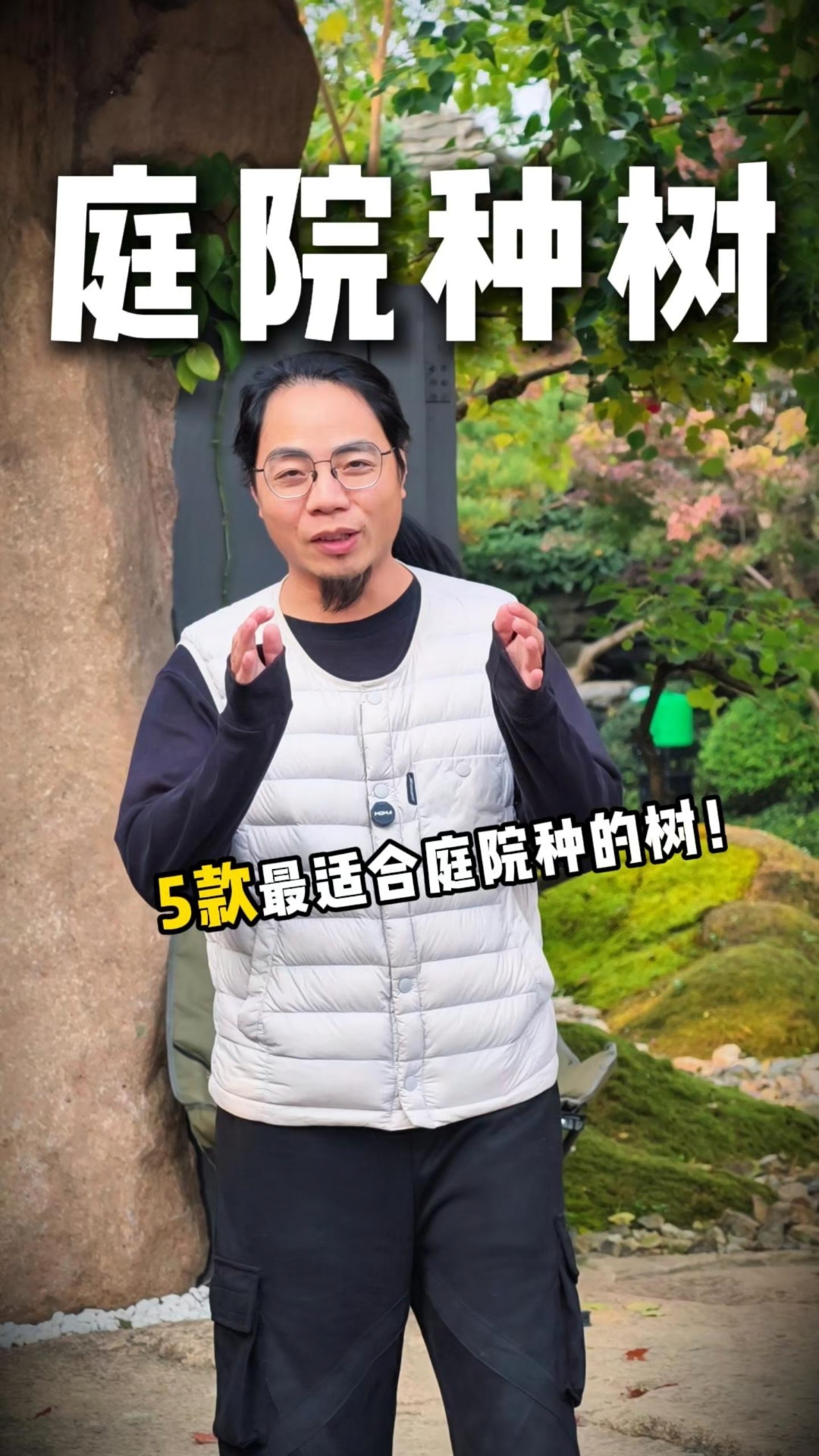 推荐5款最适合庭院种的树