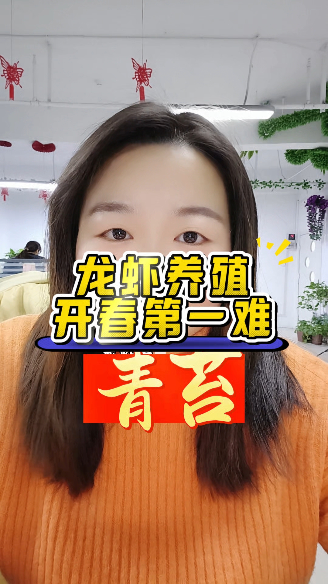 龙虾养殖开春第一难,就是青苔