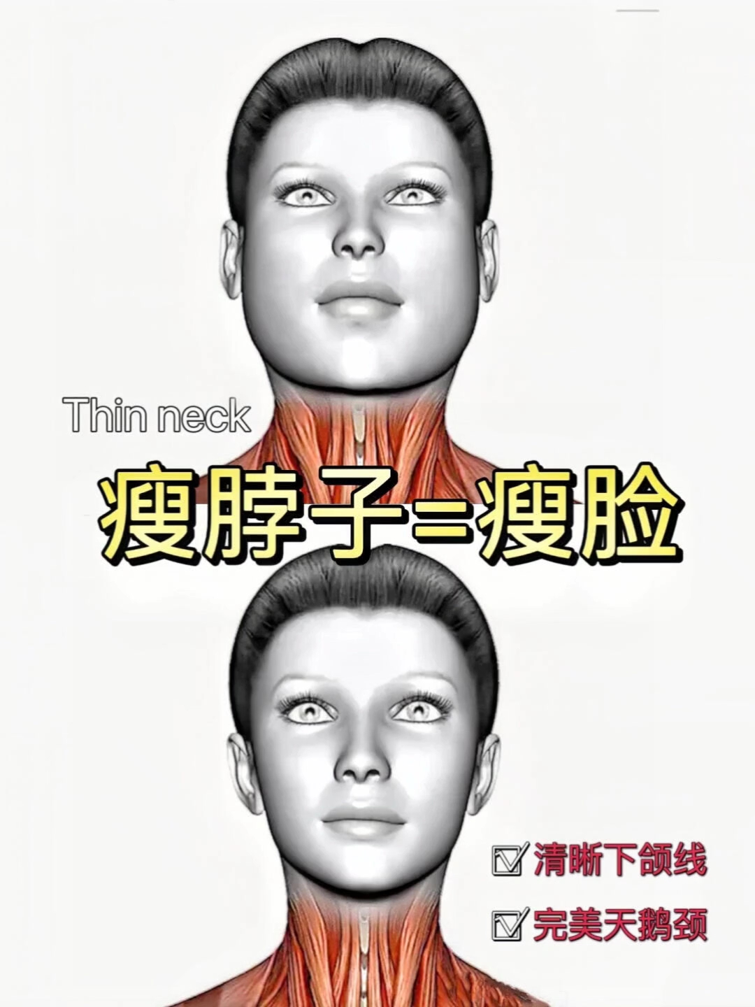 4min天鹅颈训练法练出下颌线天鹅颈