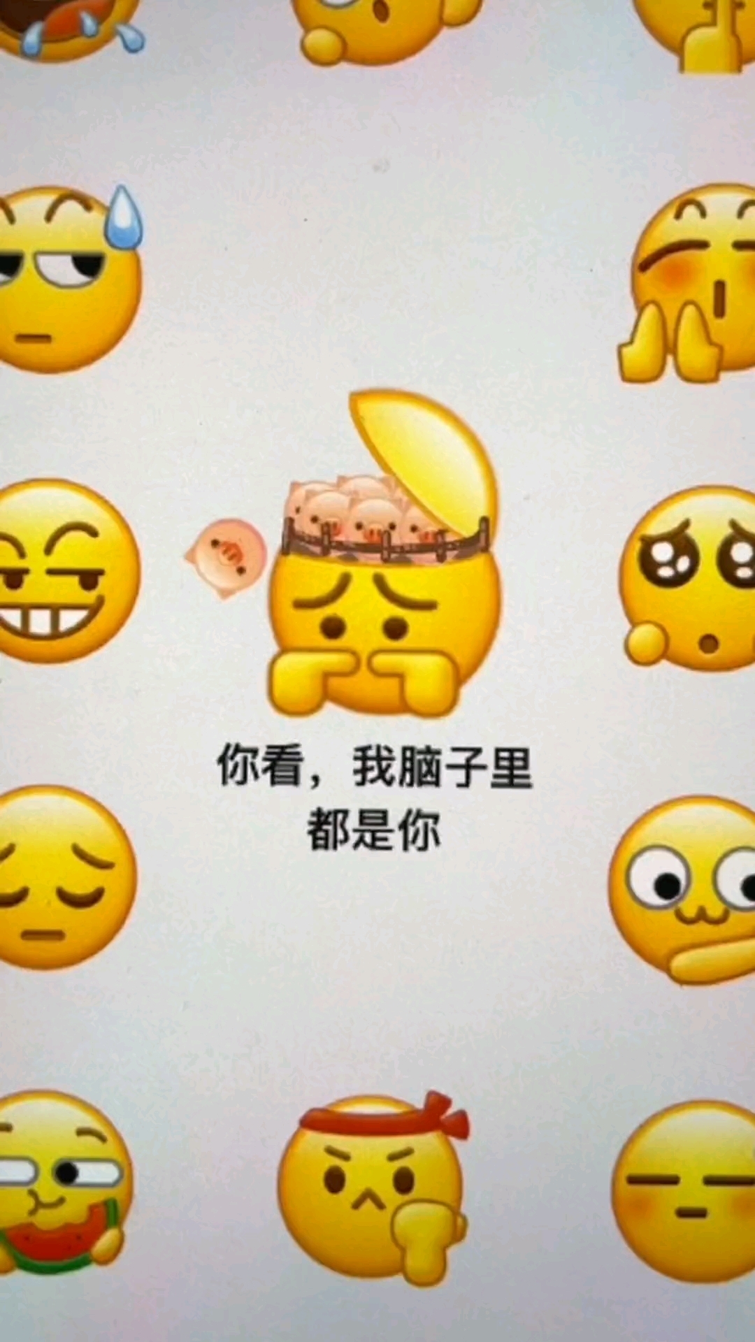 宝儿,你看我脑子里都是你。#表情包 #创意 