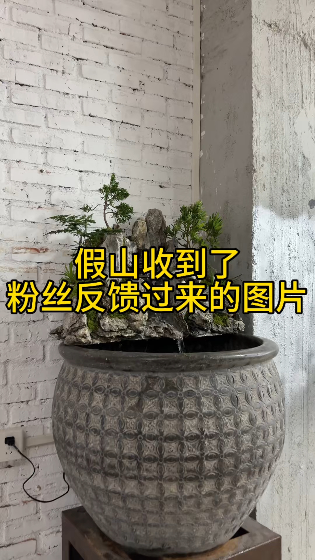 粉丝反馈过来的视频#古法养鱼鱼缸里的大自然# #古法养鱼# #假山流水景# #微景观#