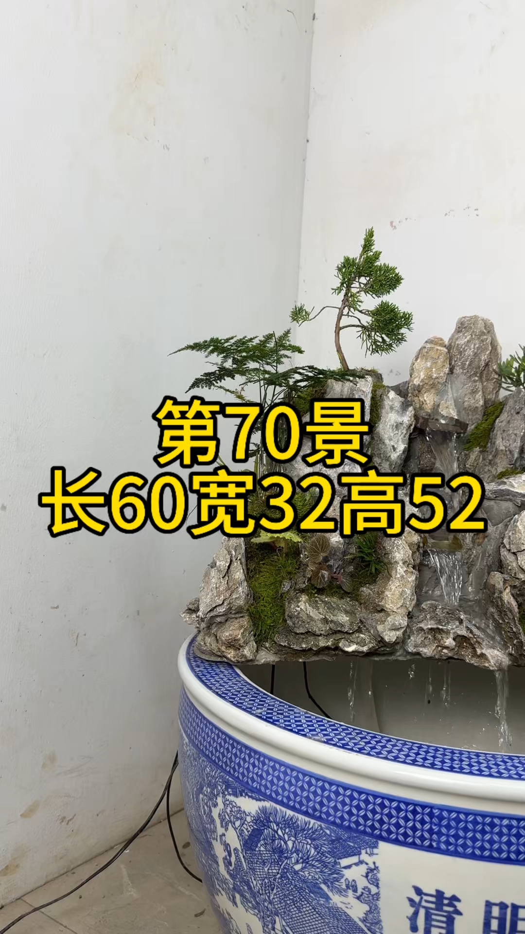 第70景#古法养鱼# #假山流水景# #古法养鱼鱼缸里的大自然#