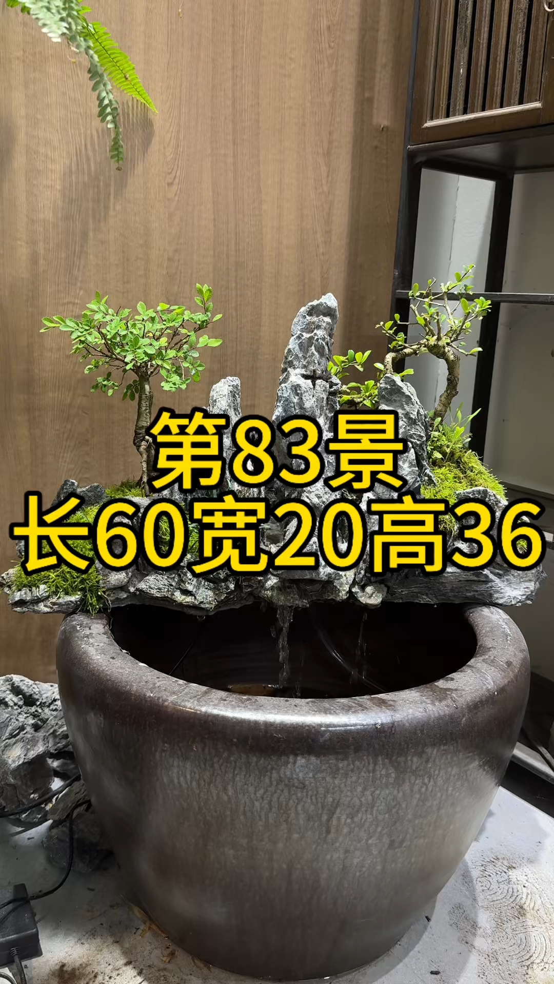 第83景#假山流水景# #古法养鱼鱼缸里的大自然# #古法养鱼# #微景观#