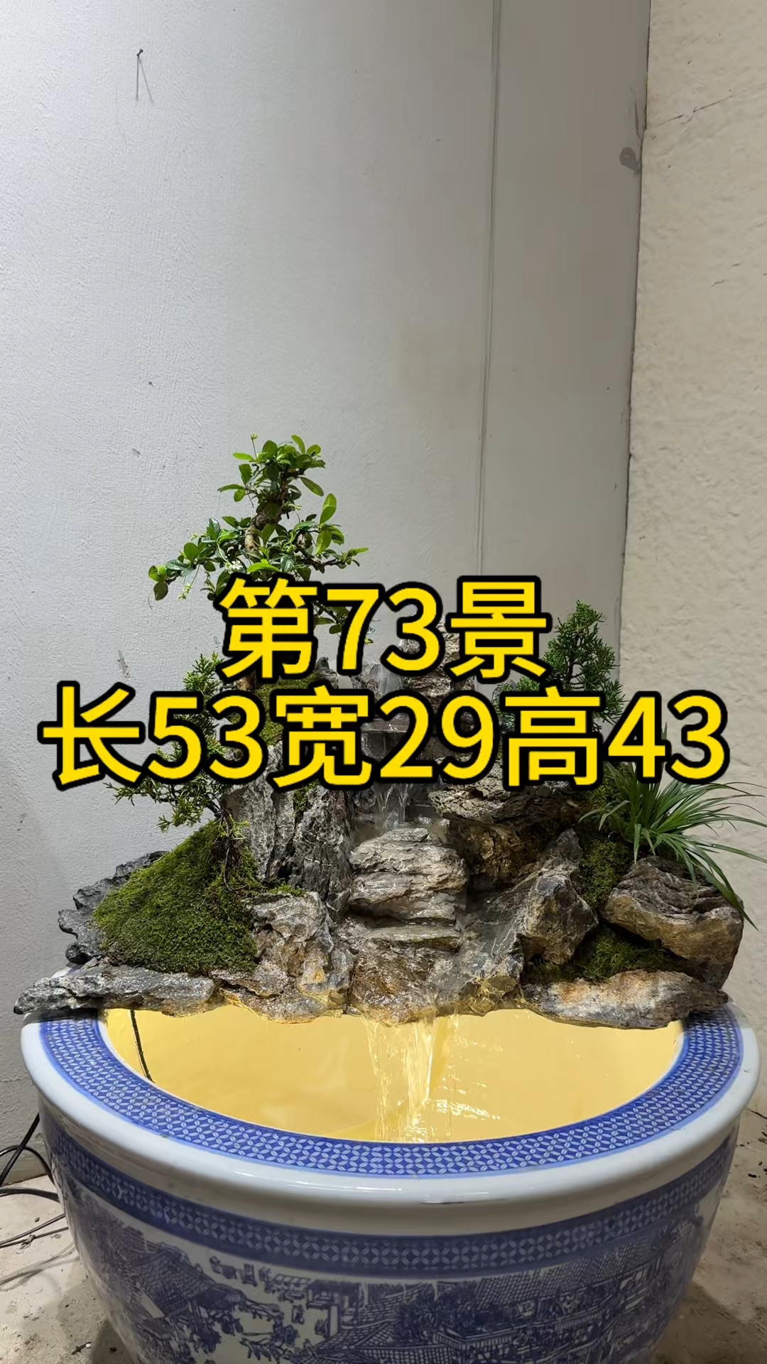 第73景#微景观# #古法养鱼鱼缸里的大自然# #假山流水景观# #古法养鱼#