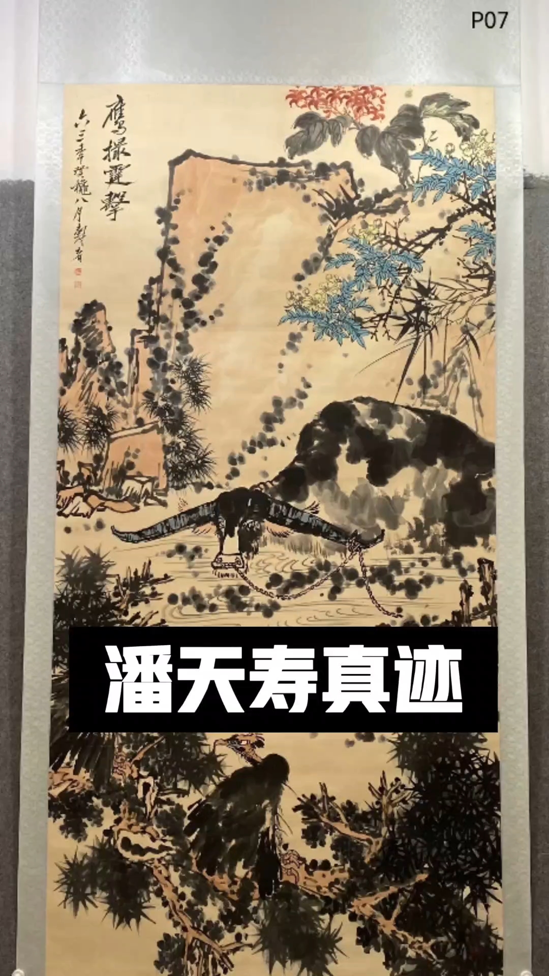 潘天寿真迹十二幅立轴和十条屏#上热门#收藏#国画#名家字画#
