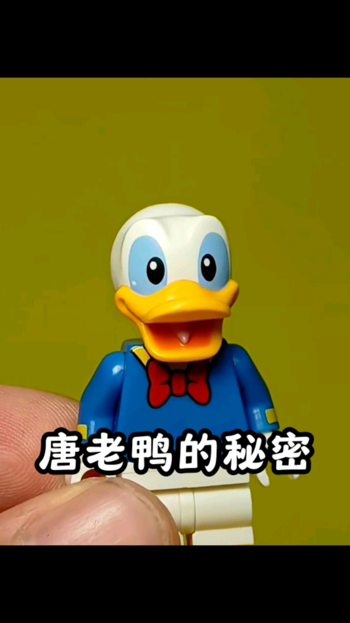 乐高搭建挑战系列《乐高唐老鸭的秘密》