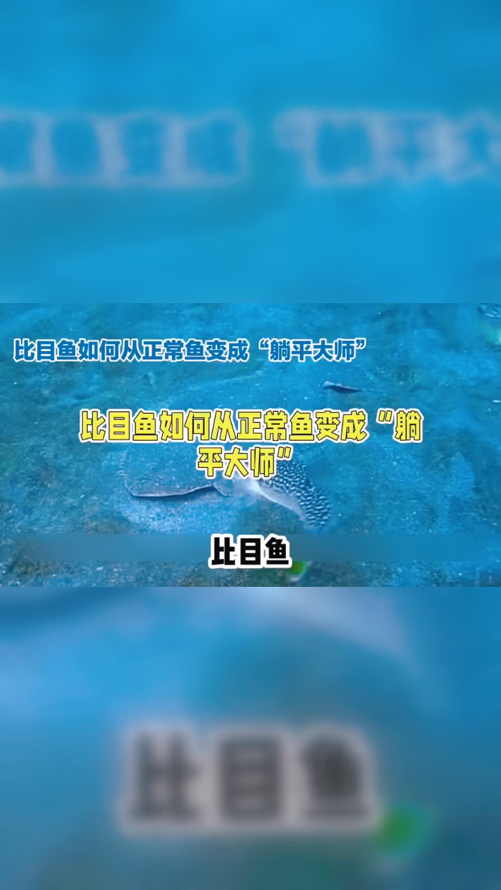 分享视频