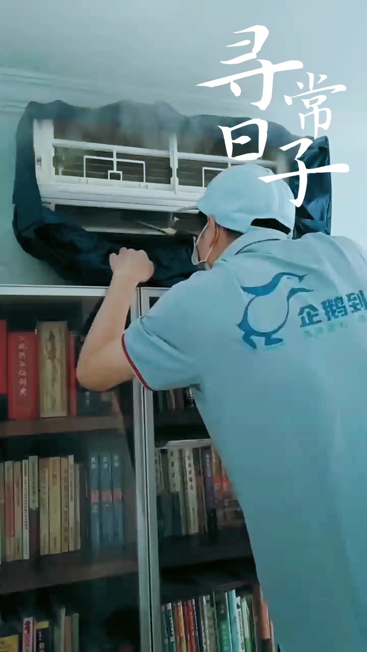 企鹅到家--用温度点亮美好生活!