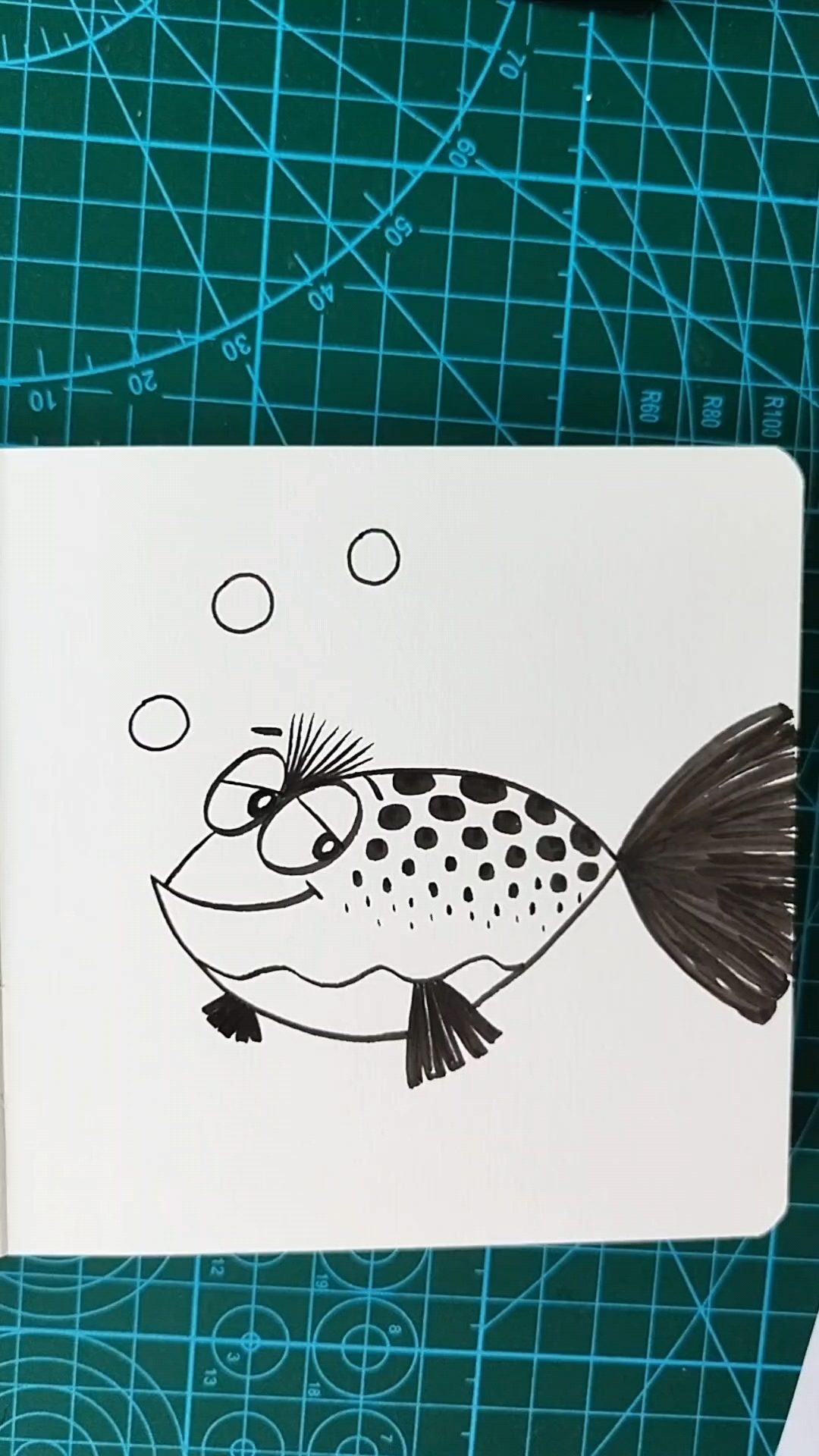 简笔画胖头鱼