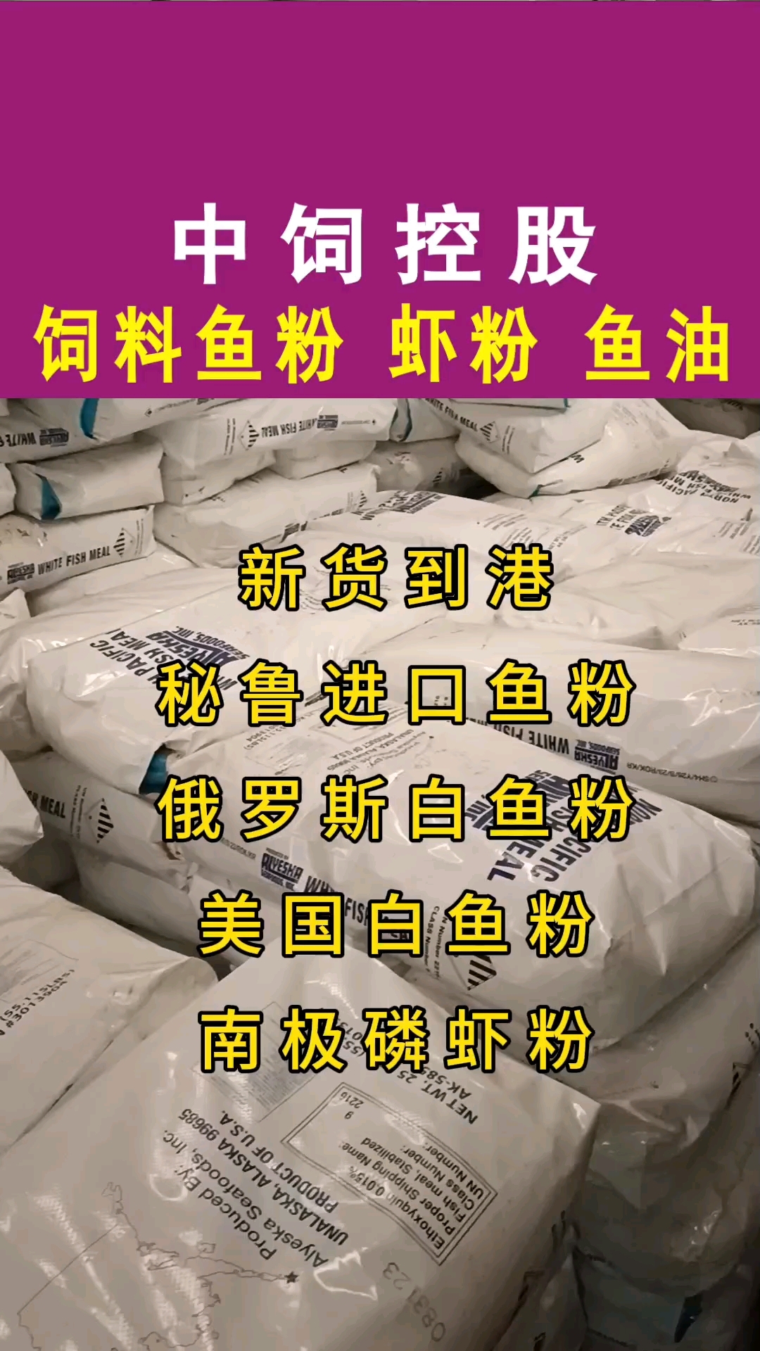 进口鱼粉新货到港
