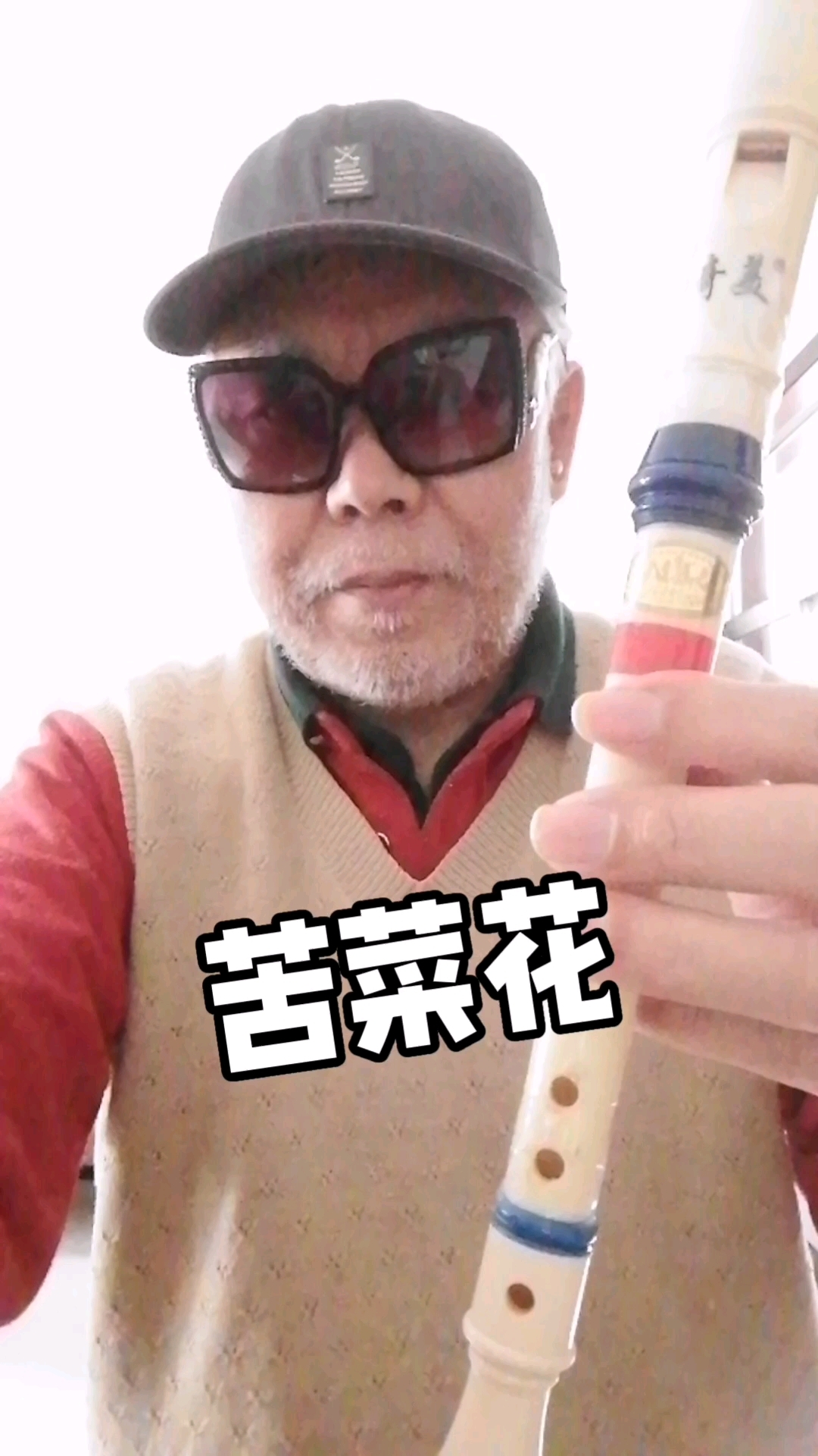 苦菜花