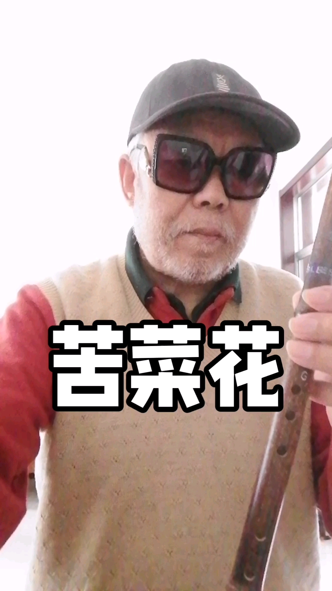 苦菜花