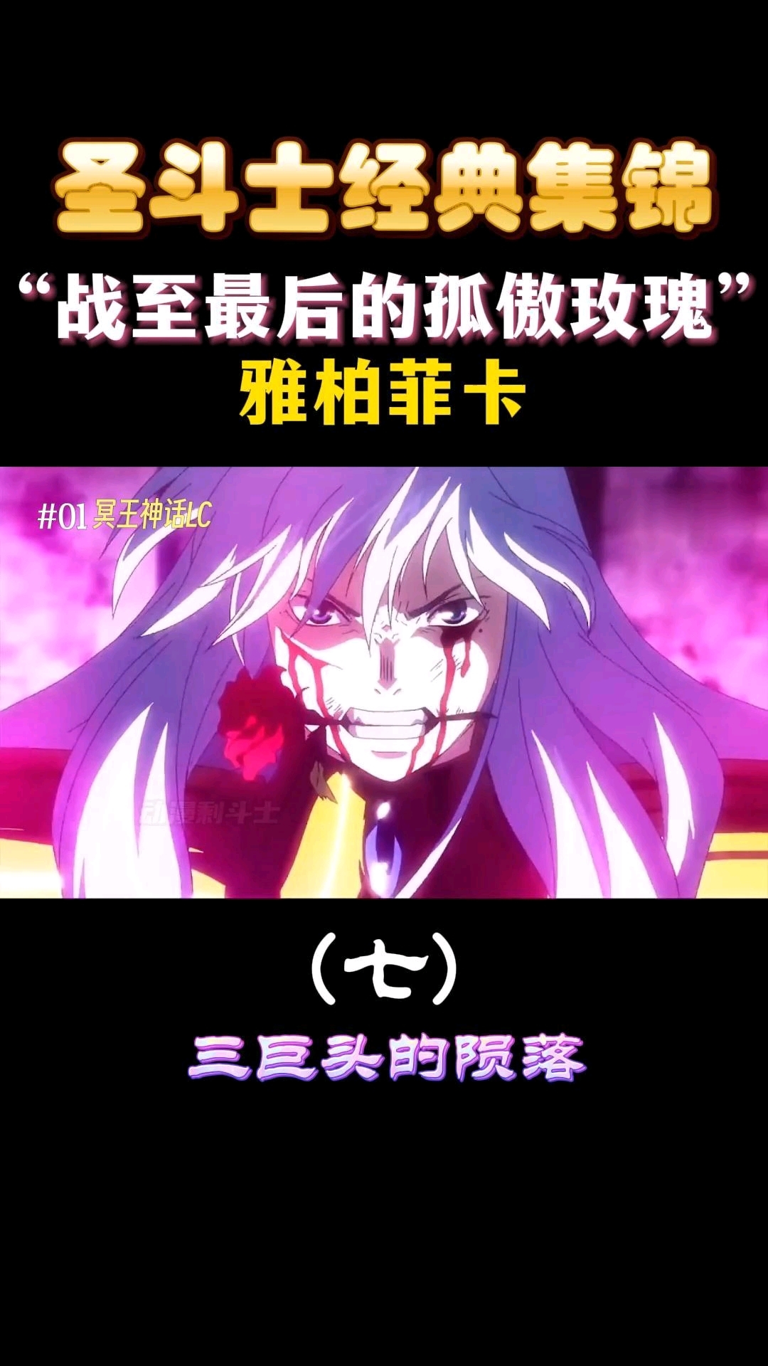 双鱼座雅柏菲卡(七)