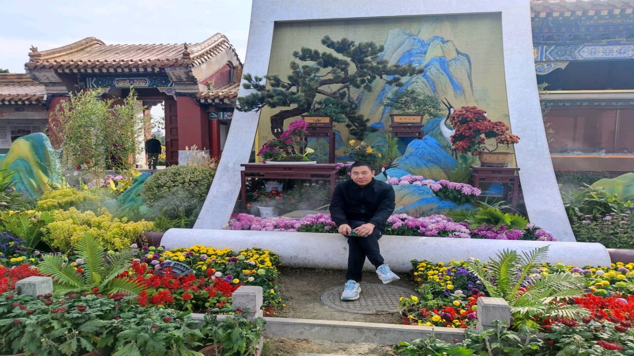 大宋汴京赏菊!不是花中偏爱菊,此花开尽更无花