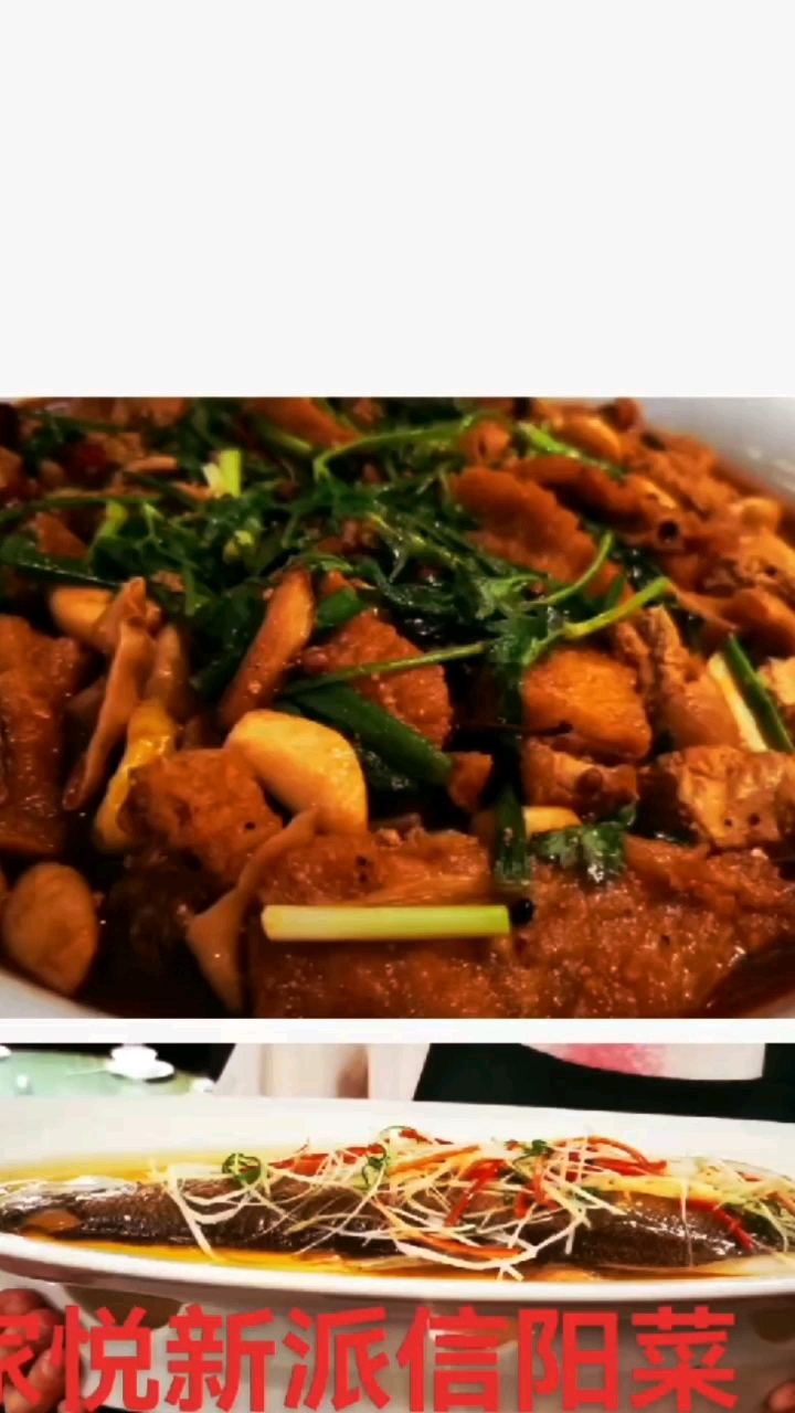 家悦新派信阳菜色鲜味美的信阳菜信阳特色地方美食
