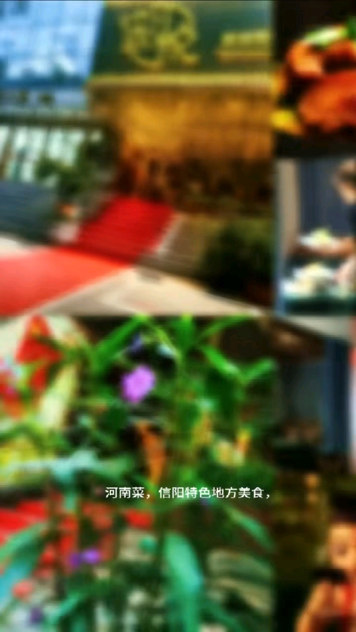 河南地方特色美食道道现做有特色的家常菜