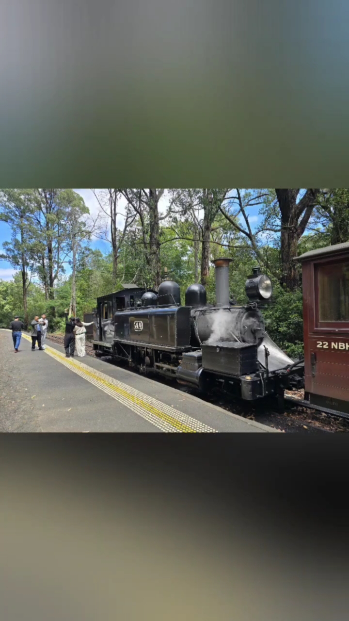 澳洲墨尔本,乘坐蒸汽小火车,在山林山谷小镇里穿梭,一路欢笑。