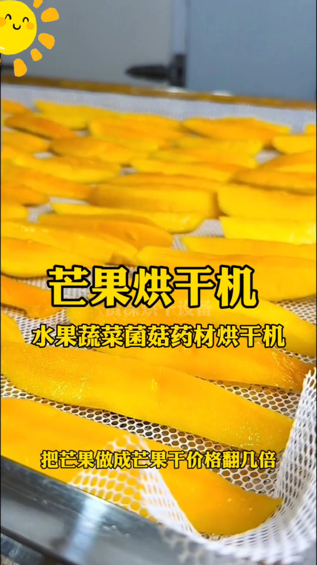 #芒果烘干机#无花果水果烘干机#辣椒豆角菌菇蔬菜烘干机#智能