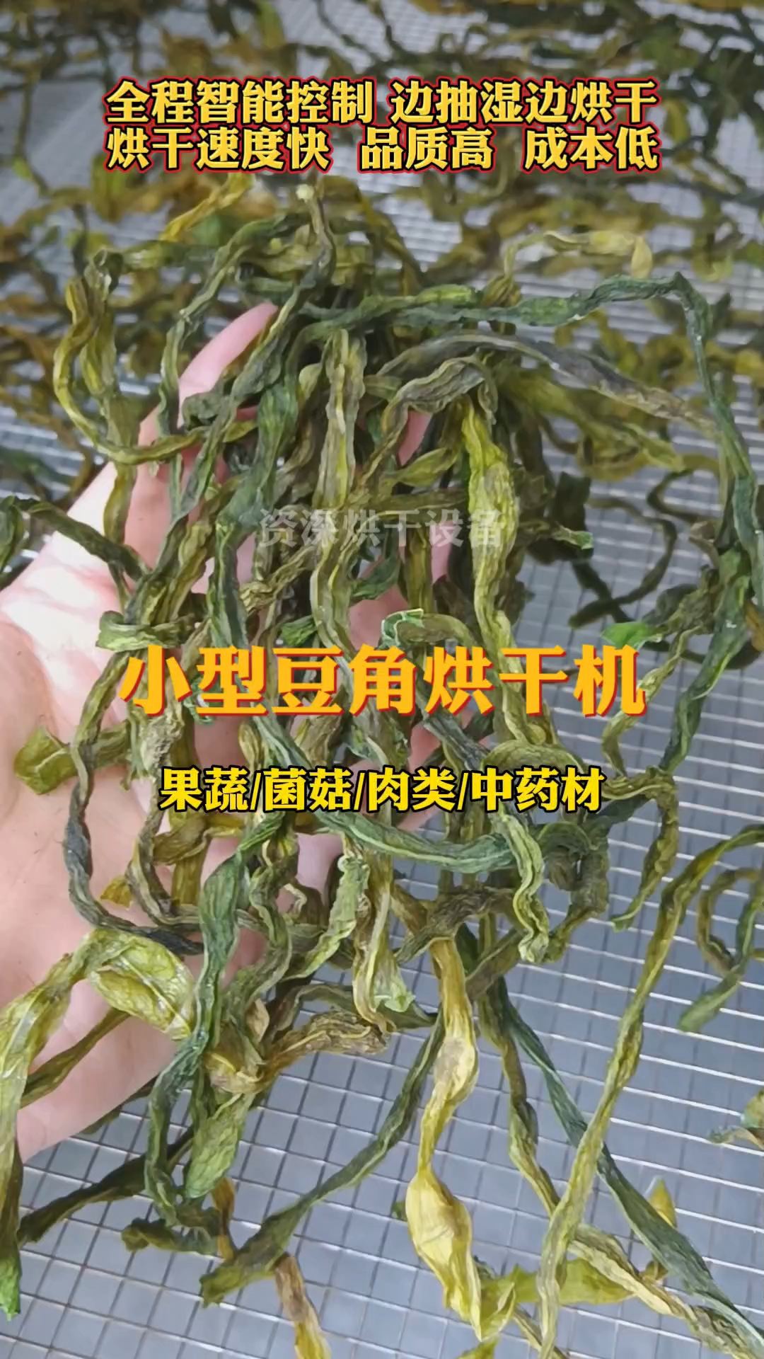 #小型豆角烘干机#蔬菜水果菌菇烘干机#腊肠烘干机#药材烘干机