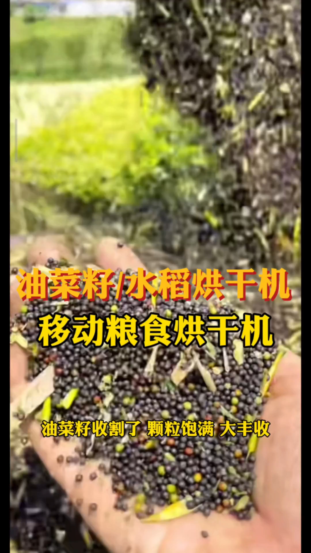 #油菜籽烘干机#水稻烘干机#移动粮食烘干机#源头工厂实拍视频