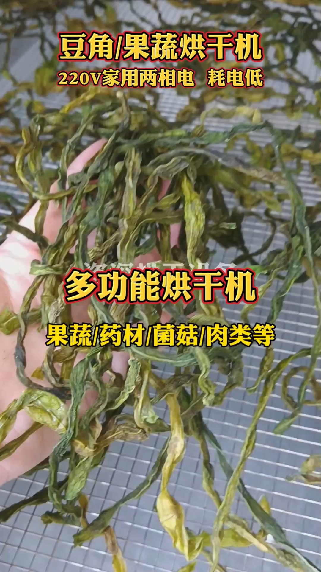 #豆角辣椒果蔬菌菇烘干机#药材烘干机#腊肉海鲜农副产品烘干机