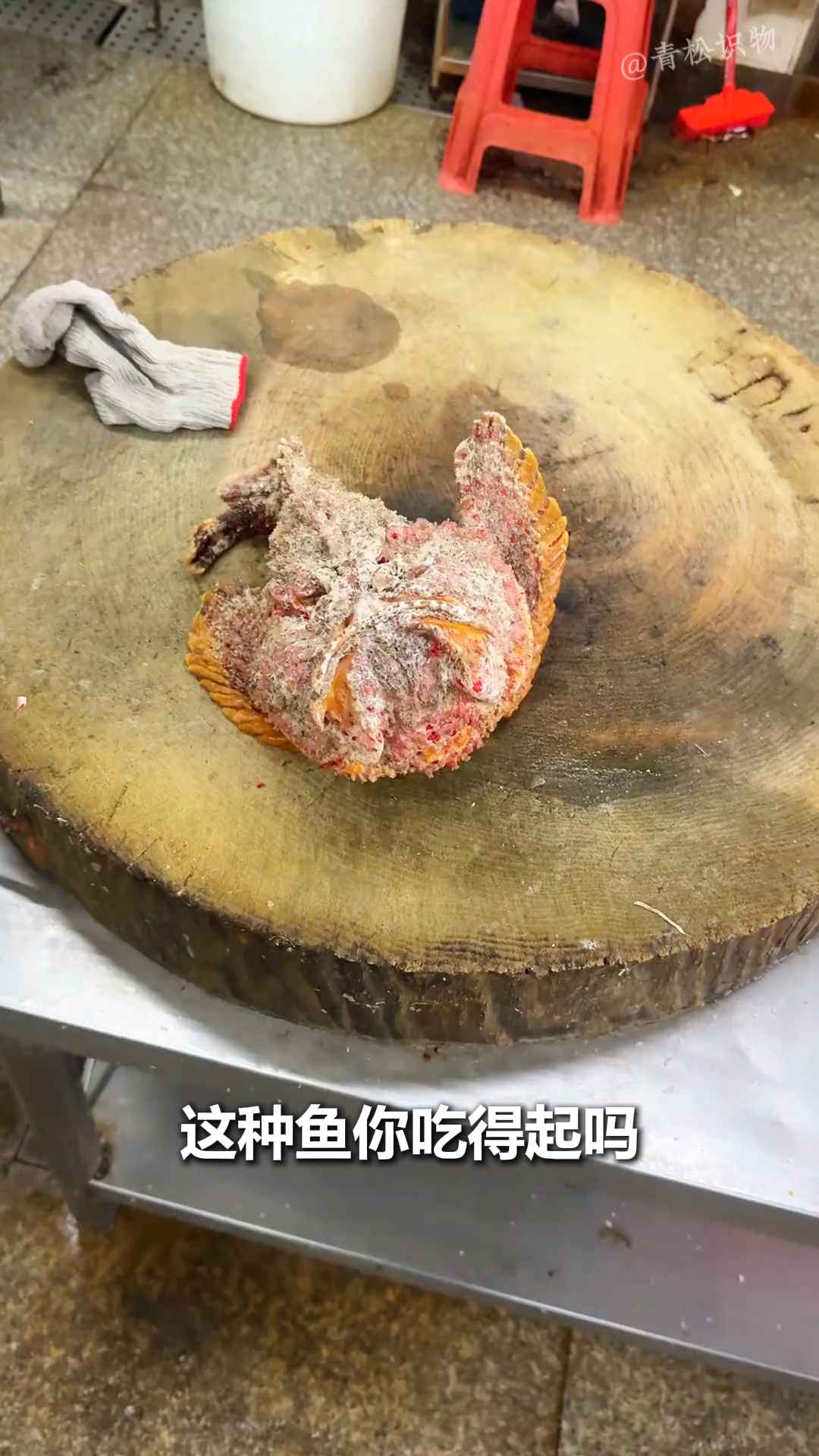 这十几种很贵的鱼你吃的起吗?