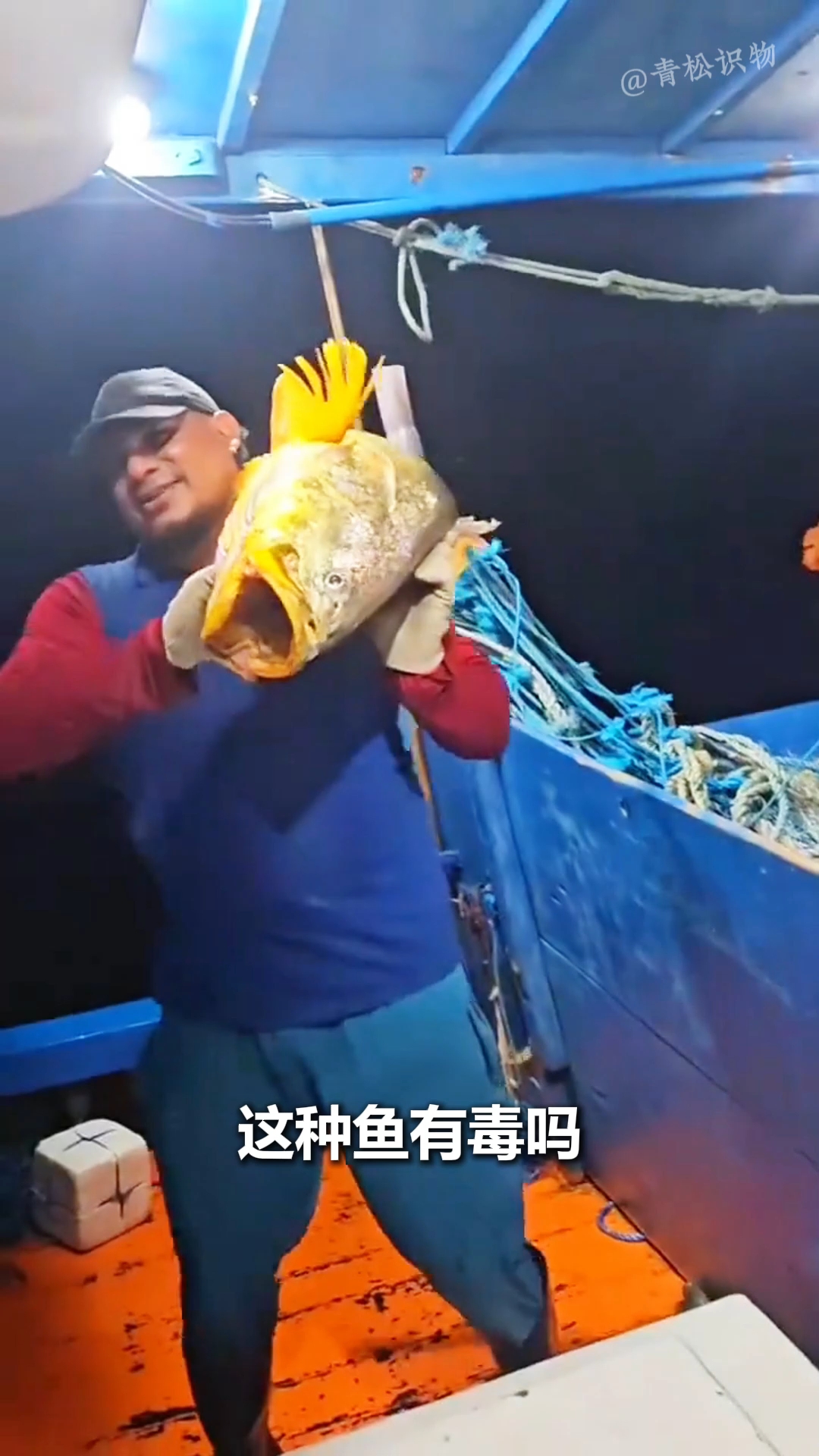 海水鱼你见过几种?
