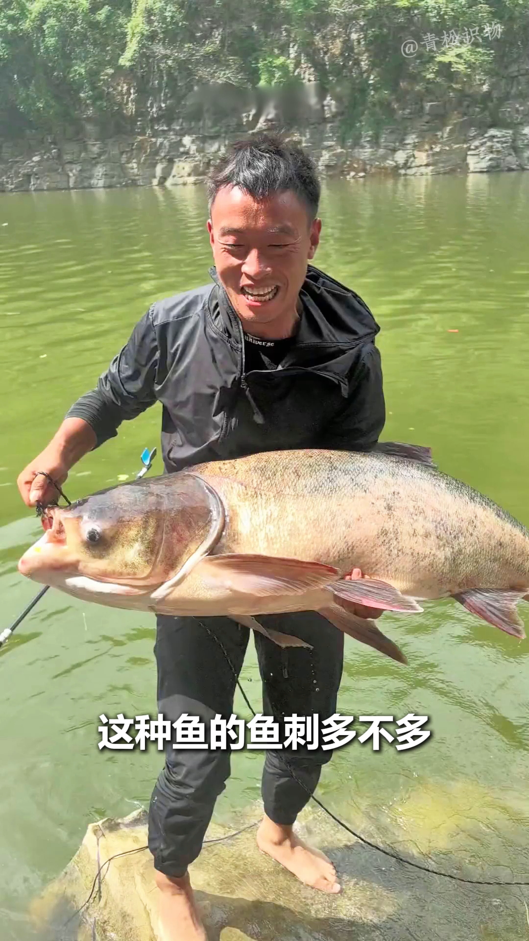 鱼刺多吗?