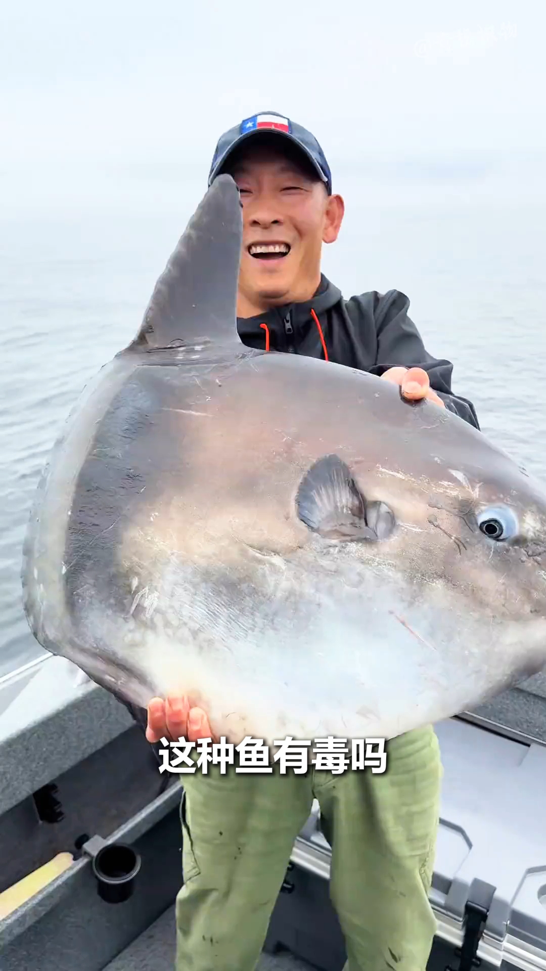 分享19种海水鱼!
