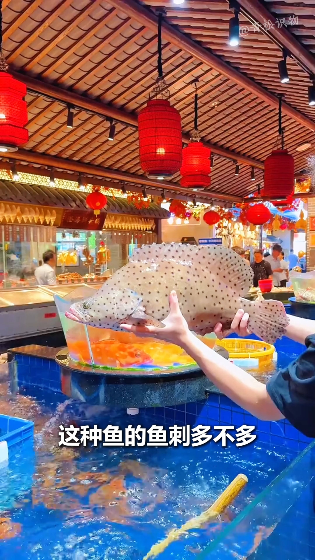 15种鱼刺多吗？
