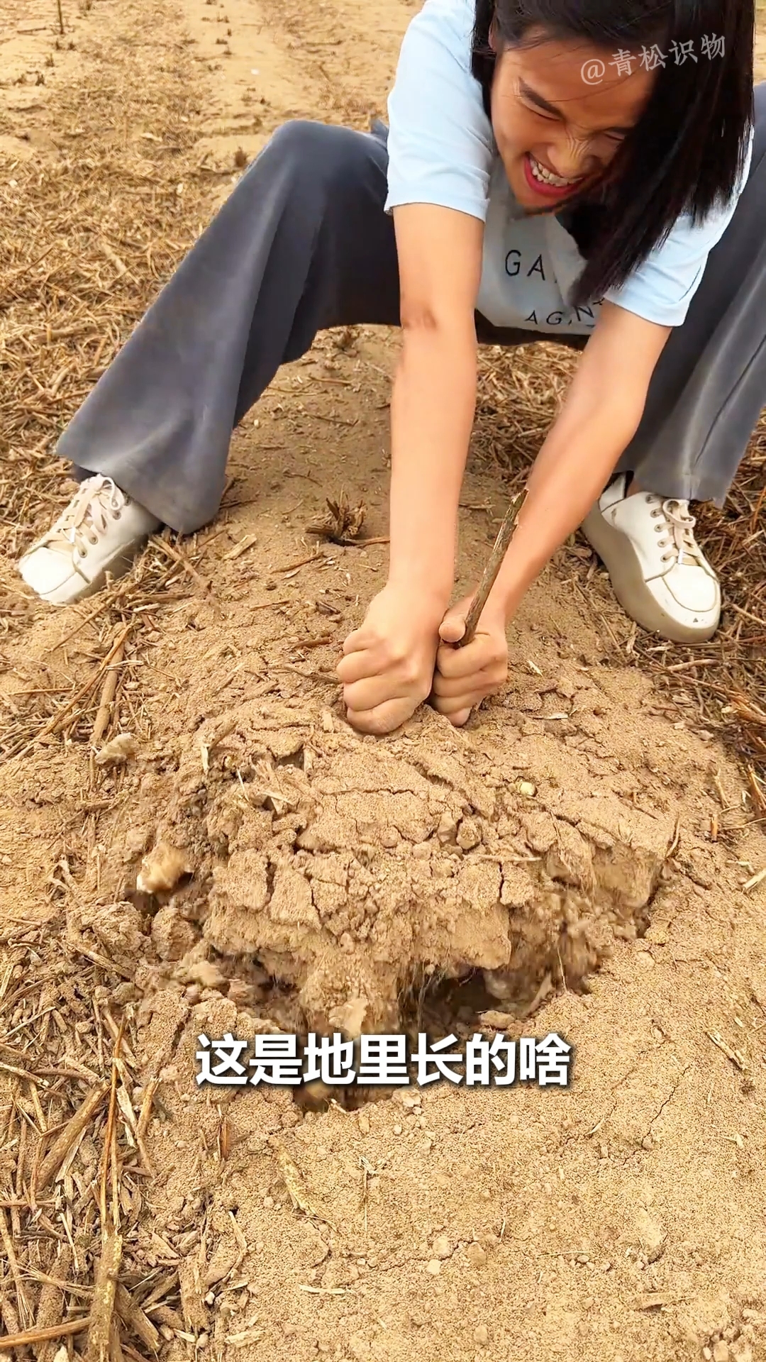 带你认识19种地里长的蔬菜!