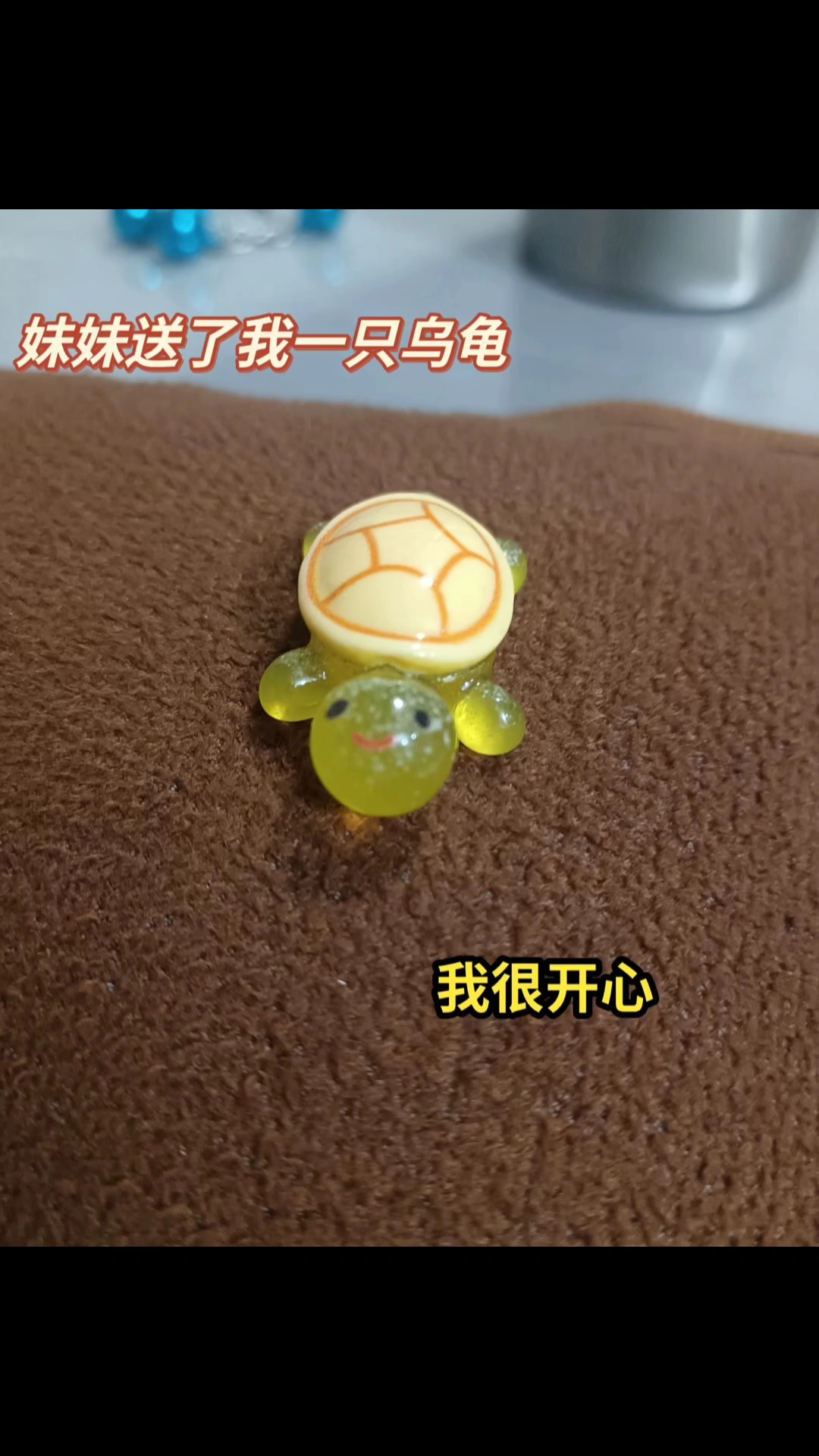 我的乌龟去世了 好难过