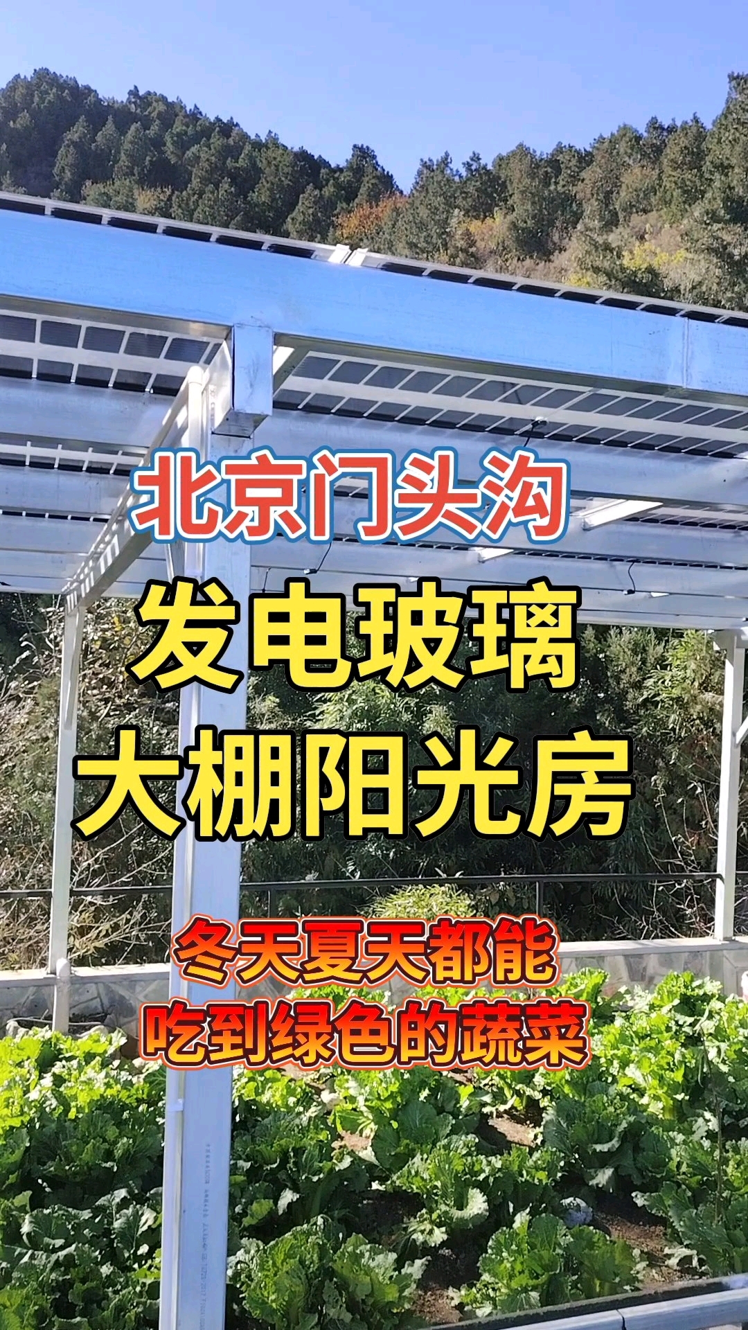 蔬菜大棚阳光房生态园光伏发电玻璃