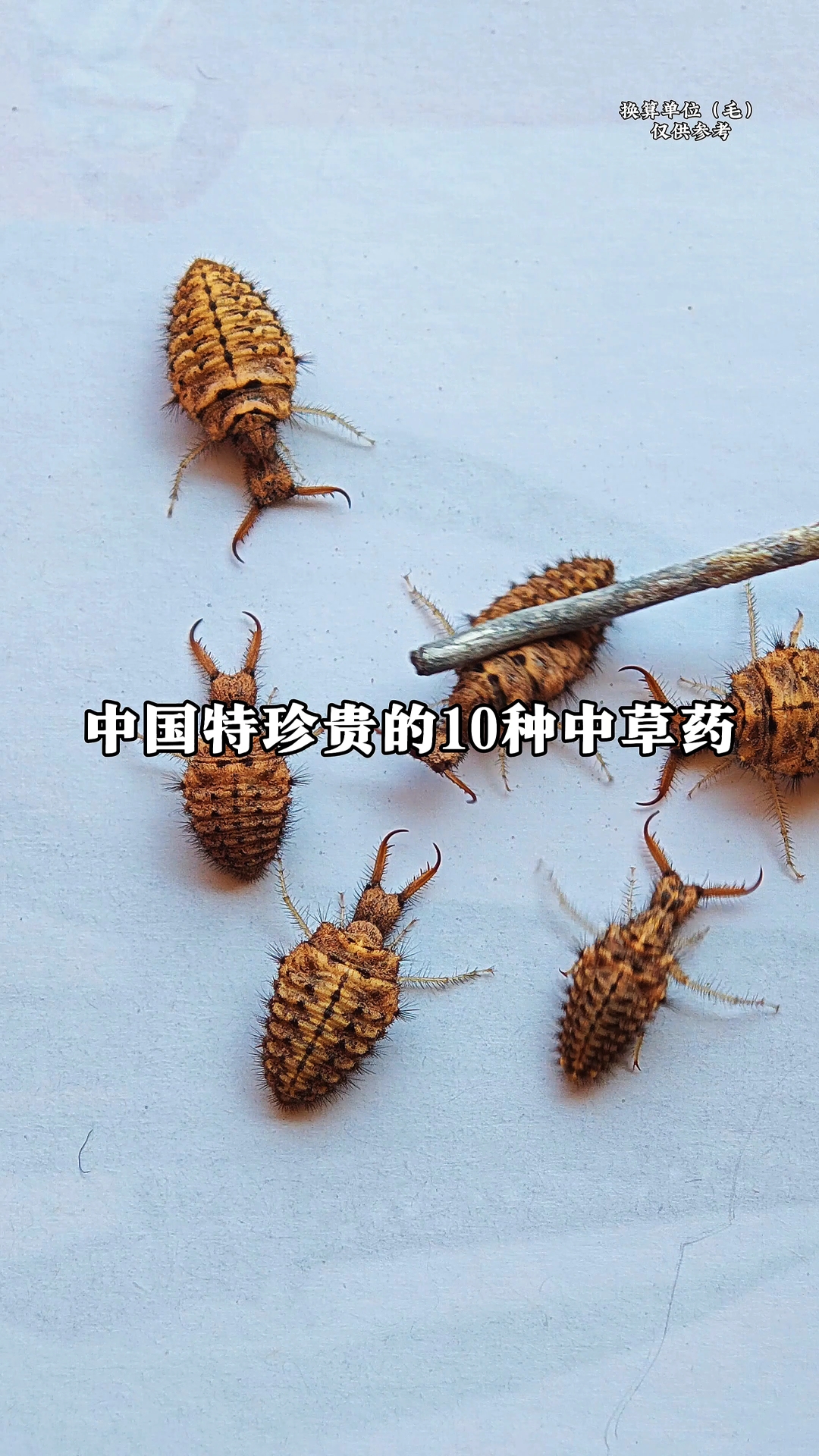 10种中国特贵的中草药