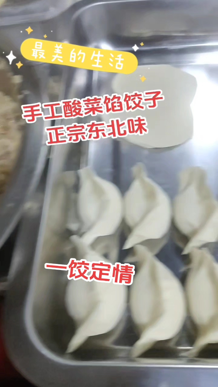 正宗东北酸菜馅饺子