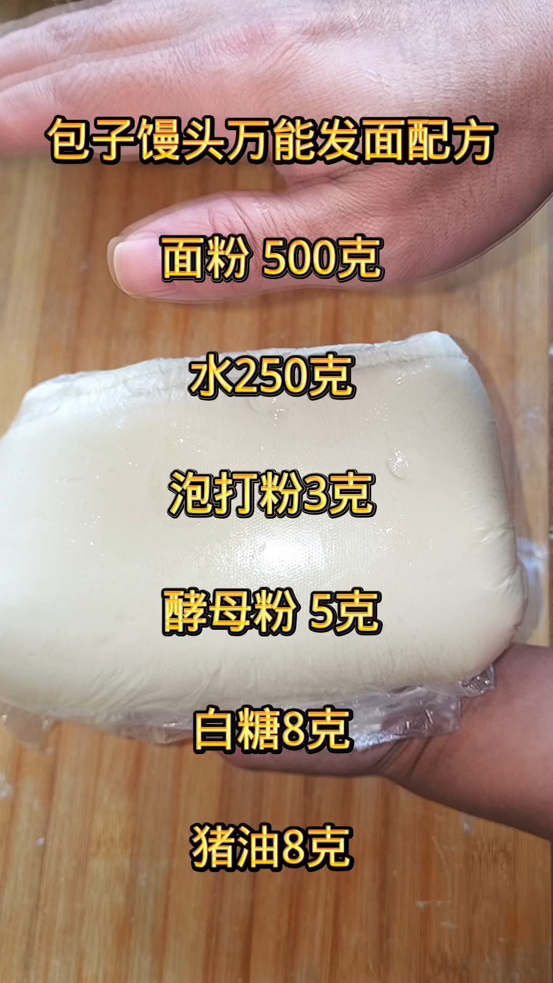 包子馒头万能发面配方
