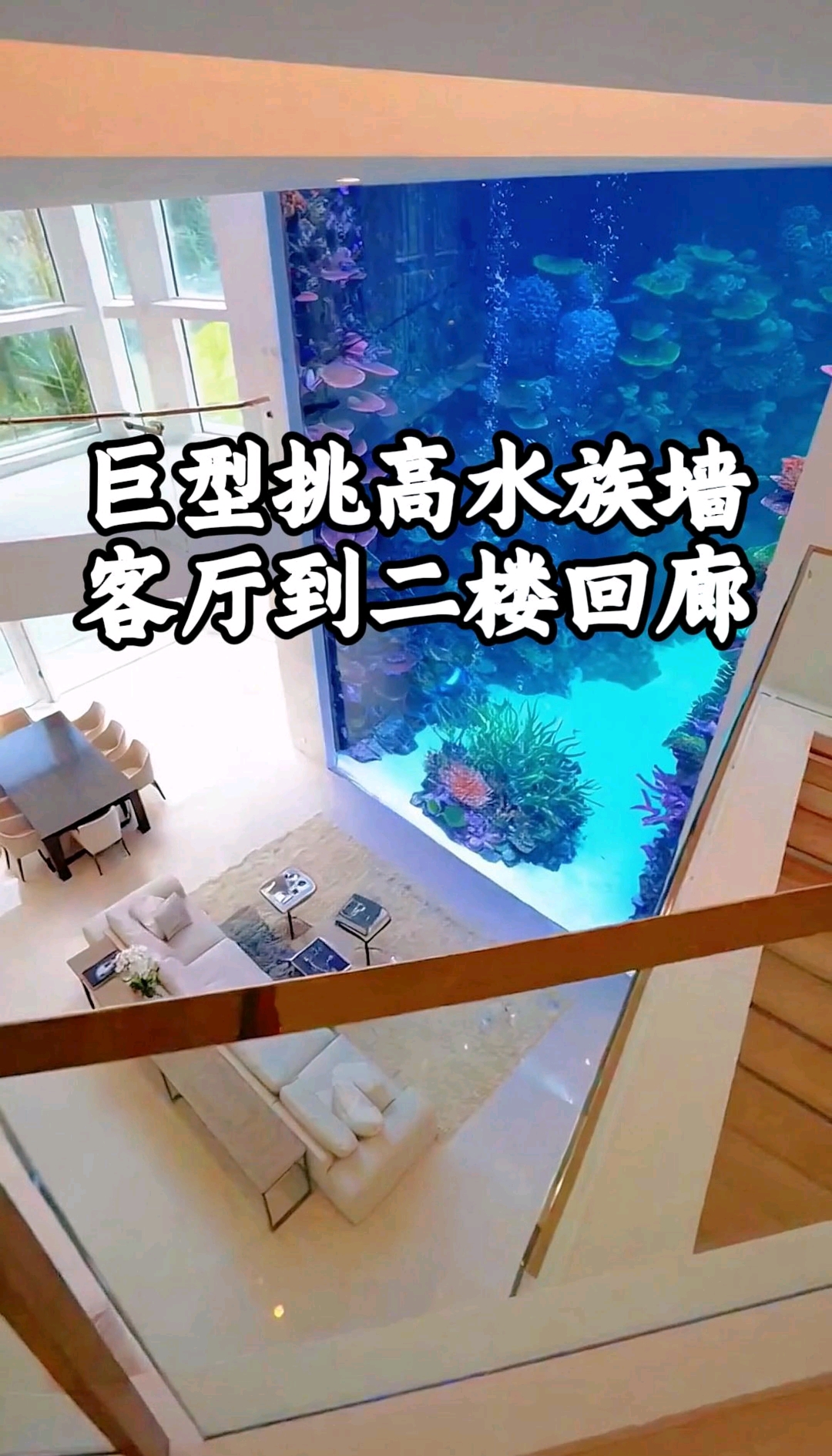 客厅到二楼的巨型挑高水族墙,鱼缸造景