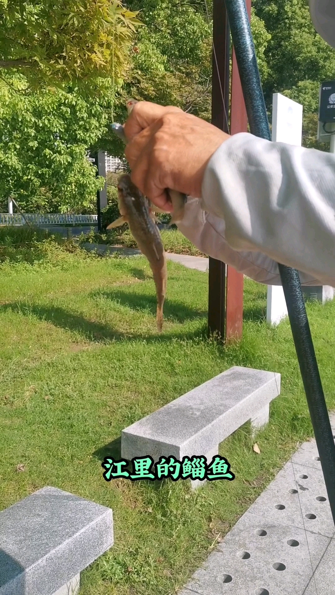 钓鱼人的快乐