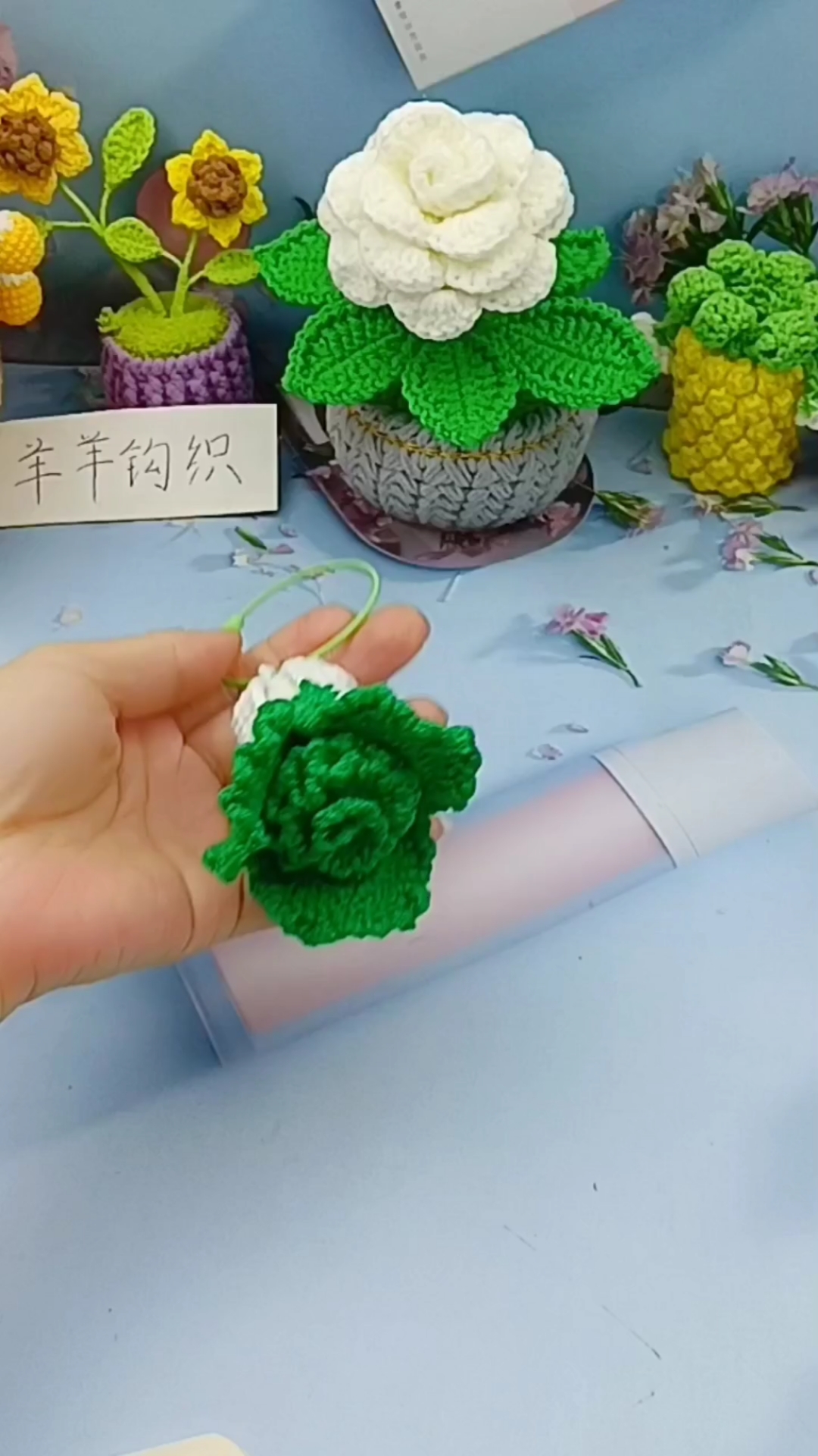 白菜钩织,百财来