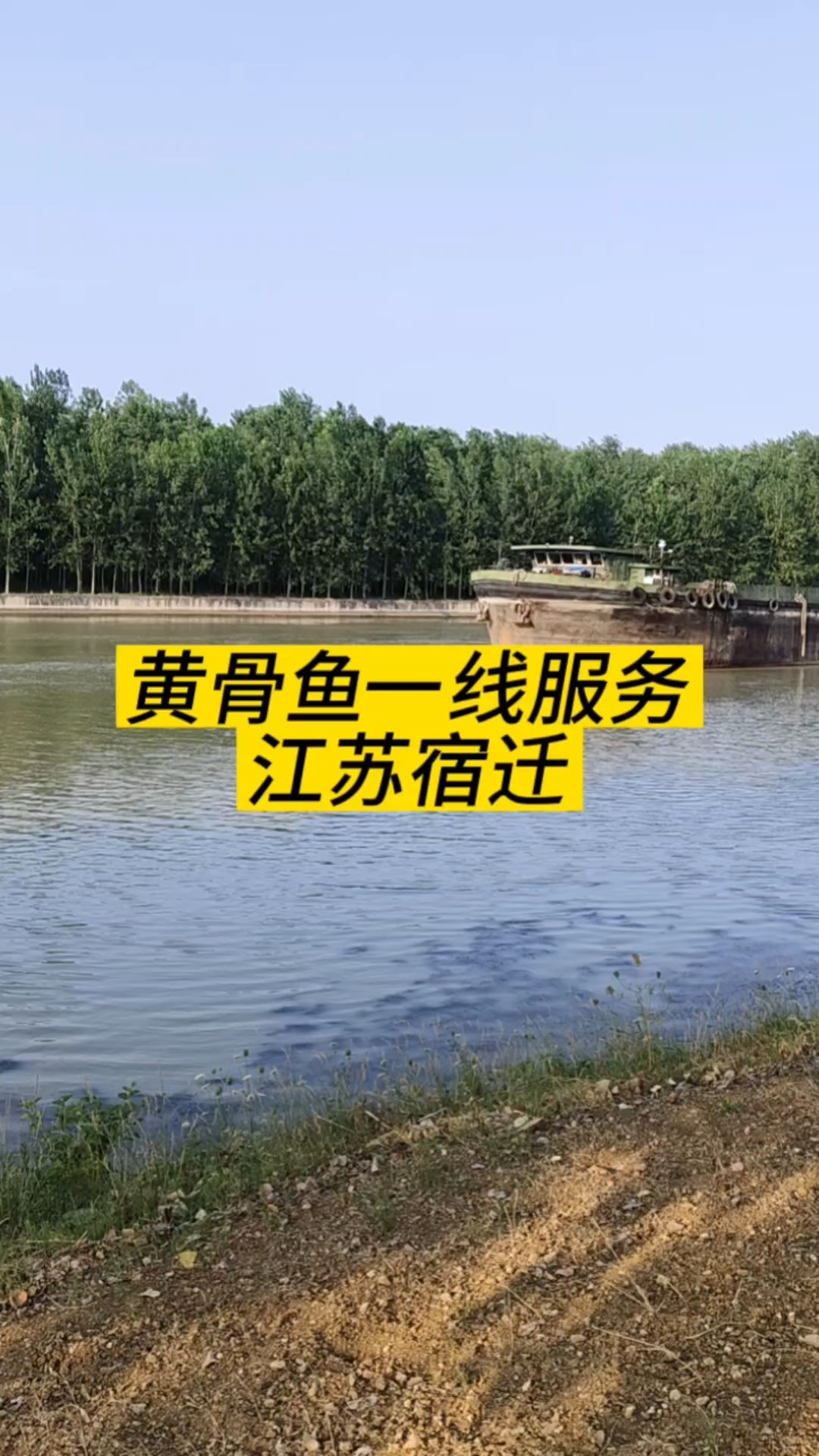 黄骨鱼一线服务江苏宿迁站