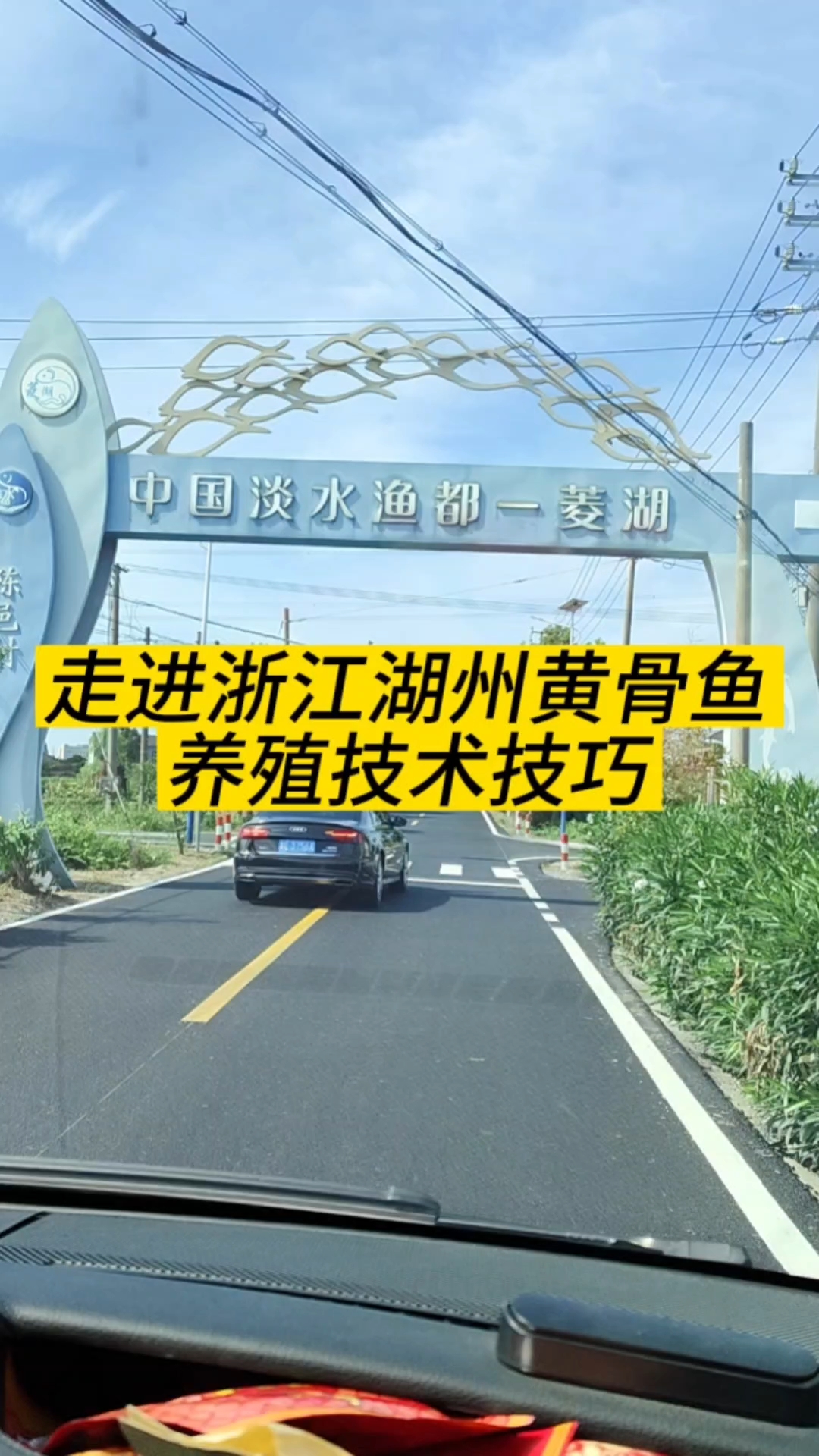 黄骨鱼养殖走进浙江湖州