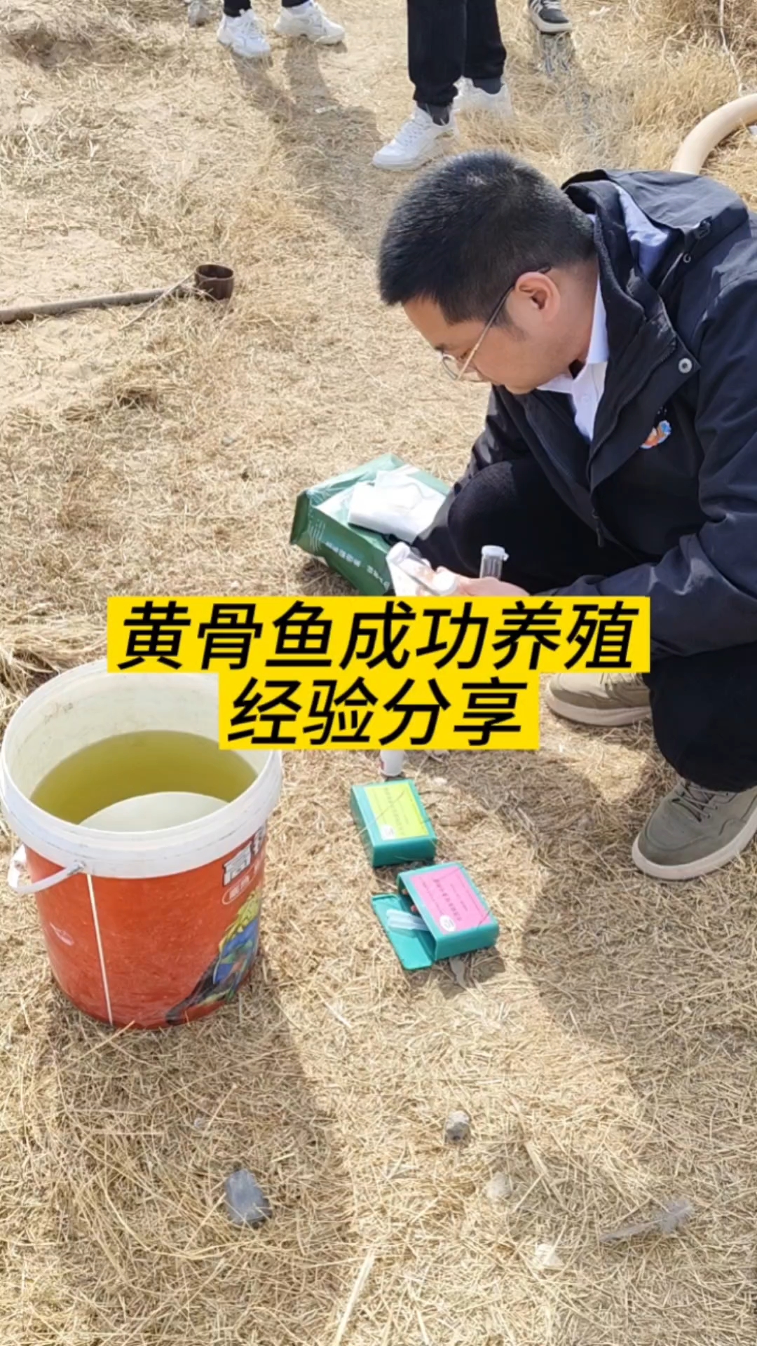 黄骨鱼养殖经验分享
