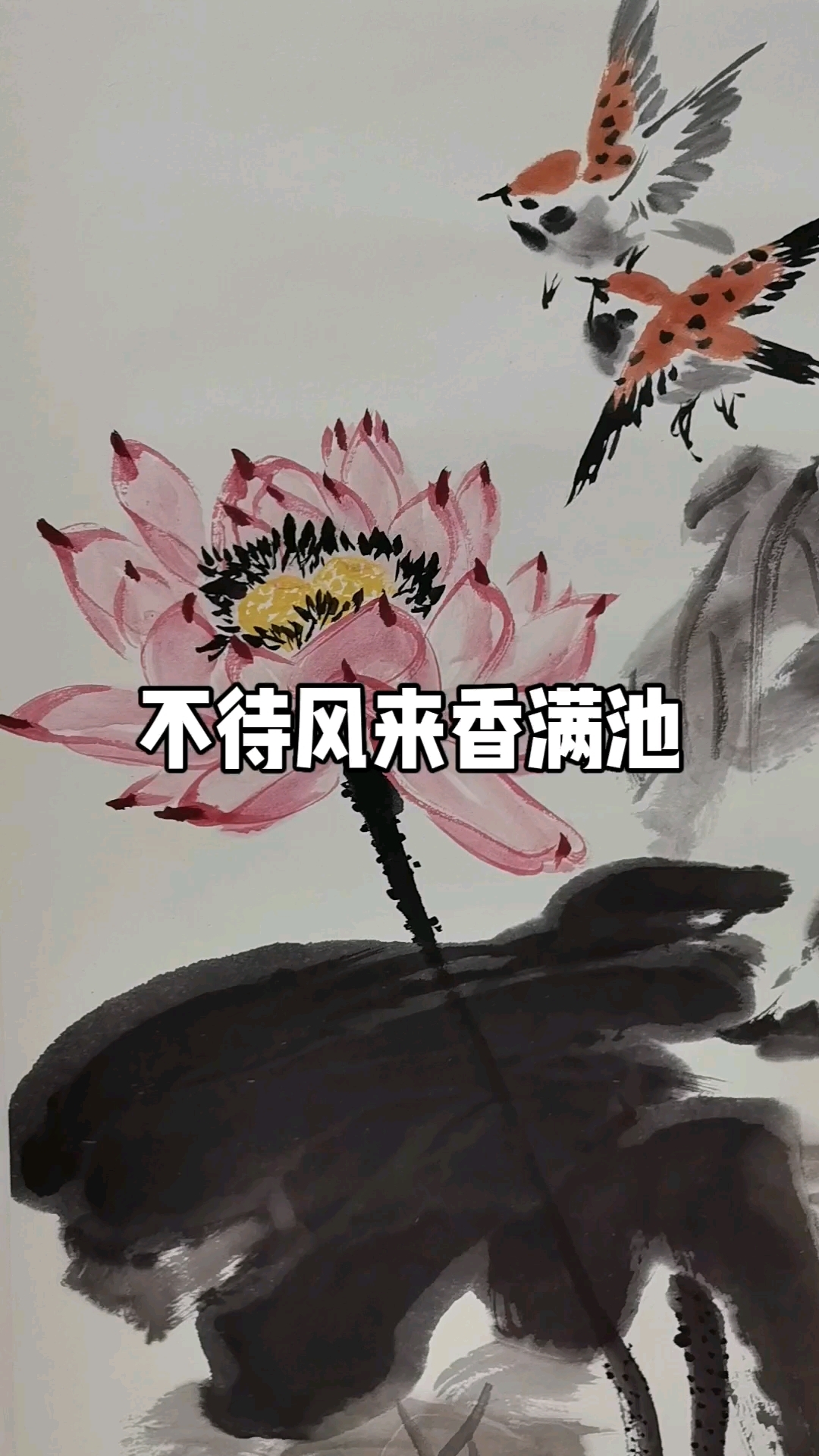 牛斌大写意荷花欣赏