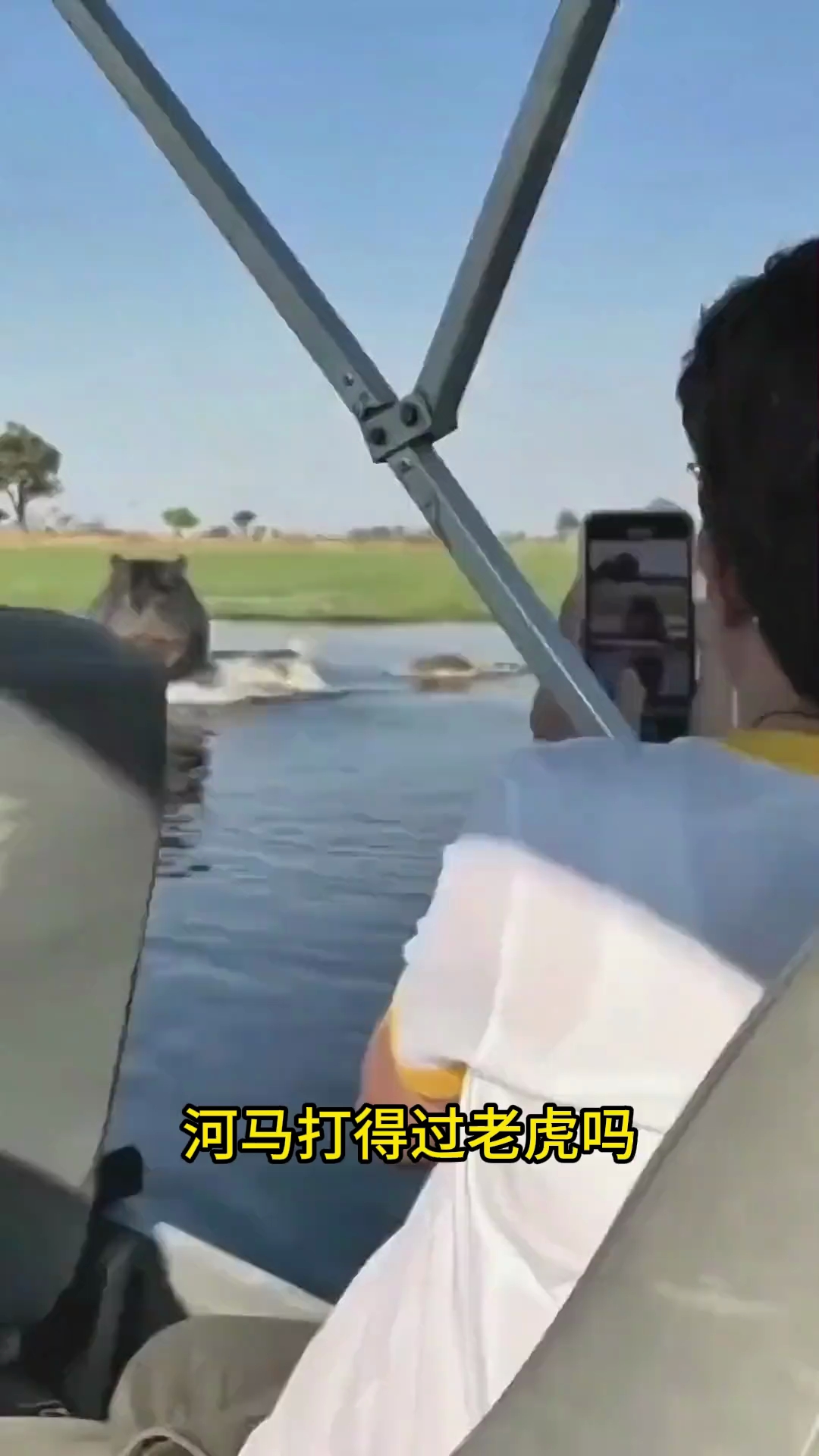 老虎到底厉不厉害